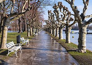 Advent am Rhein 2026