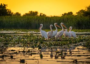 Naturparadies Donaudelta 2027