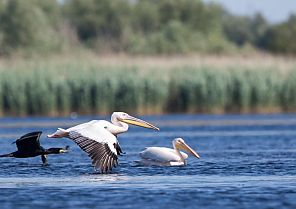 Im Goldenen Herbst zum Donaudelta