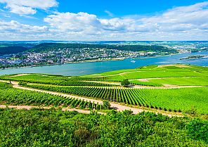 Rhein total