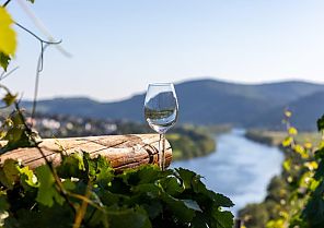 Rhein-Mosel-Saar 2027