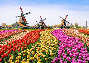 Minikreuzfahrt Holland 2027