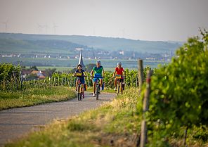 Rad-Erlebnis Weinsternfahrt in der Pfalz