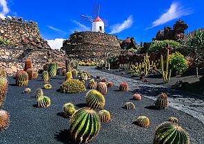 Von Las Palmas nach Norddeutschland