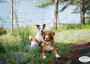 Moselträume für Mensch & Hund 2027