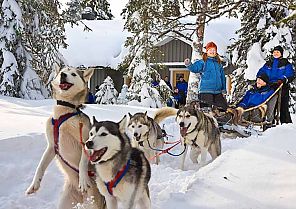 Auf Nordlichtsuche in Finnland