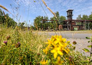 IGA 2027 – Gartenvielfalt im Herzen des Ruhrgebiets